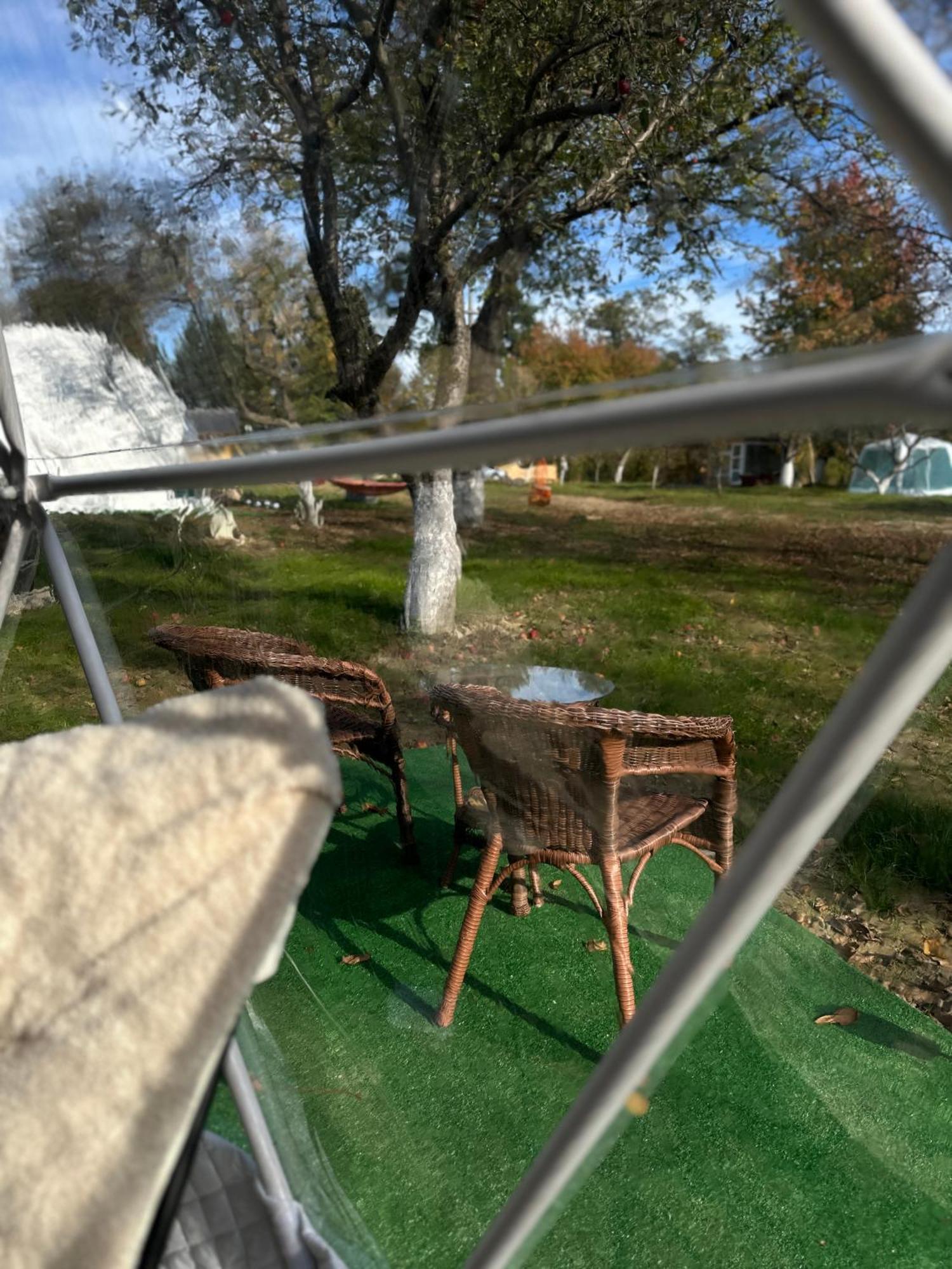 מלון הורזו The Frog Glamping מראה חיצוני תמונה